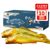 鸿顺深海野化黄花鱼1200g/2条 宁德大黄鱼 冷冻海鲜 礼盒 源头直发