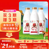 光明 致优 4.0娟姗牛鲜牛奶 800ml*1瓶  家庭装鲜奶 定期购