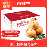 京鲜生 长城羊脂秋月梨 正宗大果 净重5斤 6-8粒 生鲜水果礼盒