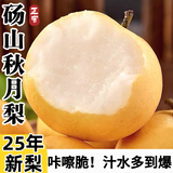 京地达秋月梨砀山秋月梨雪梨香梨子水果送礼净重4.8斤单果300g+源头直发