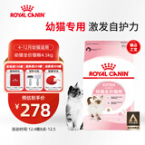 皇家幼猫猫粮 幼猫奶糕 K36 通用粮 4-12月 4.5KG