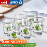 青苹果 加厚无铅玻璃杯295ml6只 鸡尾酒洋酒杯威士忌杯 啤酒杯水杯茶杯