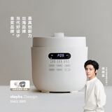 olayks立时 电压力锅 高压锅 圆满高压电饭锅家用快煮预约压力锅5L适用4-6人双内胆 OLK-501DC