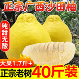 趣觅鲜正宗容县沙田柚产地直发广西特产纯甜无酸老树白肉柚子新鲜水果 40斤袋装大果单果1.7-2.5斤