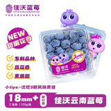 佳沃（JOYVIO） 云南蓝莓甜蜜花香系列 18mm+ 2盒装 约125g/盒 新鲜水果 