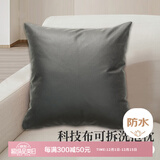 艾薇抱枕沙发靠垫床头靠枕睡觉靠背垫科技布抱枕套含抱枕芯磨砂黑
