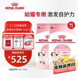 皇家猫粮 幼猫猫粮 幼猫奶糕 K36 通用粮 4-12月 4.5KG*2