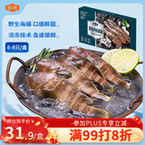 金唐鲜冻野生海石斑鱼净重400g  青石斑鱼生鲜鱼类