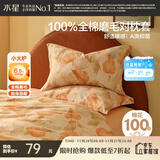 水星家纺枕套纯棉100%全棉磨毛柔感对枕套抑菌A类枕头罩一对装双人48x74cm