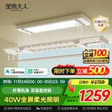 金贵夫人嵌入式电动晾衣架阳台升降晾衣杆自动晾衣机隐藏晒衣架智能凉衣架 A23-明装款｜双语音声控｜全屏照明 隐藏嵌入式智能晾衣架