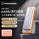 孔声10孔布鲁斯口琴成人专业演奏级初学者学生入门自学十孔蓝调