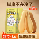 迪普尔自发热鞋垫加热暖脚贴暖脚垫神器暖宝宝女男士冬天保暖 【商仓发】女款20双40片#适合36-39码