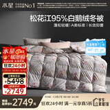 水星家纺羽绒被95%白鹅绒被子冬季加厚冬被芯双人羽绒被200cm×230cm1200g