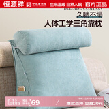 恒源祥（HYX） 靠枕床头三角枕头靠垫懒人腰靠沙发靠背冬游戏可拆洗抱枕护腰 湖蓝色厚20cm（韩国绒） 45cm*60cm*22cm 含枕芯 大号