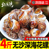 北海湾花螺鲜活新鲜海螺特大号海鲜水产鲜冻冷冻东风螺特大花螺贝类净重 特大无沙 2000g