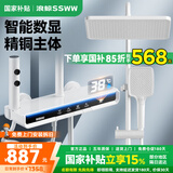 浪鲸恒温淋浴花洒套装钢琴花洒全套增压自洁沐浴器精铜浴室淋雨器 【白色冷热】数显控温 增压雨淋