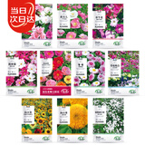 寿禾 花种子苗太阳花格桑花向日葵凤仙花四季花海组合 10种花种子套餐