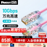 泛达 泛达超六类细网线CAT6A类跳线家用电脑宽带POE监控万兆高速成品线 真爱粉 1米