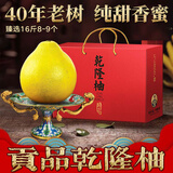 趣觅鲜正宗容县沙田柚产地直发广西特产纯甜无酸老树白肉柚子新鲜水果 16斤精品乾隆柚8-9个礼盒装