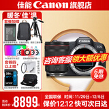 佳能r8 微单相机全画幅专微 4K视频EOSR8专业微单 下单抽拉布布&金豆 R8单包机+24-105 USM拆【L级标准变焦】 套餐四【拍套四免费升级套餐五 配件升级不加价】