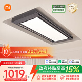 米家智能晾衣机Pro 【国家补贴】小米电动晾衣架超薄嵌入隐藏遥控升降