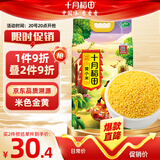 十月稻田 黄小米 5斤 可溯源 五谷杂粮 粥米 早餐小米粥 2.5kg