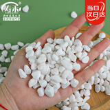 寿禾 白石子小石头多肉盆栽鱼缸造景绿植装饰 6-9mm白卵石500g