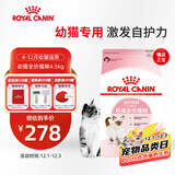 皇家幼猫猫粮 幼猫奶糕 K36 通用粮 4-12月 4.5KG