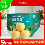 京地达烟台栖霞苹果奶油富士苹果 净重9斤85级大果烟台苹果水果源头直发