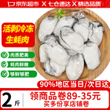 优牧冠 冷冻生蚝肉  新鲜活剥牡蛎肉 海蛎子 生鲜 贝类 海鲜水产 【免处理大号】生蚝肉 净重2斤