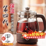 小熊（Bear）煮茶器蒸汽喷淋式养生壶加厚玻璃煮茶器黑茶办公室蒸茶器迷你电热烧水壶保温小型泡茶炉1L送礼礼物 ZCQ-A10X1保温喷淋式煮茶 1L