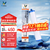 道尔顿（Doulton）【英国原装进口】净水器滤芯 KDF DIP301专用适配滤芯BioTect Ultra 9004型
