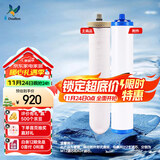 道尔顿【英国原装进口】D-CP203/DIP301净水器专用滤芯套装   M12UCC（2504型）陶瓷滤芯+KDF活性炭滤芯