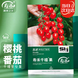寿禾 圣女果种子苗小番茄西红柿蔬菜种籽 潍育寿禾千禧果种子30粒*3袋
