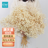 匠心绽放满天星干花永生花束节日礼物实用客厅装饰天然风干真花白色20277