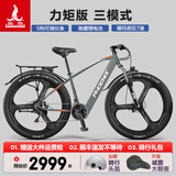 凤凰（Phoenix）锂电池助力电动自行车26寸成人新国标电动车长续航电瓶车 599灰色-7速一体轮-5档力矩传感 30AH电动续航90公里