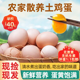 散养土鸡蛋 谷物蛋初生鲜鸡蛋 农家山林谷物喂养笨鸡蛋柴鸡蛋 【小份尝鲜】10枚 S级谷物蛋(40g±5g)/枚