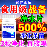六鹤净水片食用级战备户外饮用水消毒片泡腾片农村井水杀菌漂白除异味 100片*1瓶【一片水立清】