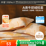 水星家纺枕套牛奶绒冬季双面保暖对枕套抗静电A类枕头罩一对装双人48x74cm