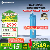 滨特尔（pentair）大白瓶前置过滤器 全屋家用自来水过滤器 前置净水器大蓝瓶 中央净水机大流量大胖瓶高精度 【20寸大蓝瓶】包安装