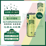 Perrier巴黎水姜汁柠檬味气泡水250ml*10罐冰箱包法国进口【全球购限定】