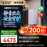 史密斯（A.O.SMITH）16升精钢燃气热水器 国家补贴 1级静音认证 安全守护 JSQ31-EDQ6 新品