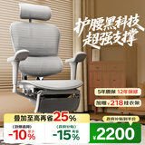 Ergonor保友金豪b雄鹰 人体工学椅 电脑椅 电竞椅办公椅子可躺老板椅 【金豪b雄鹰】银白网+躺舒宝