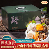 京地达云南特产新鲜菌类净重2斤10种鲜菌组合装多种菌菇源头直发包邮