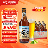 海底捞13度德式大麦  精酿啤酒500ml*12瓶 门店同款  喜宴喜酒 送礼