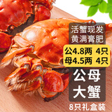 【活蟹】乾澄大闸蟹现货公蟹4.8两母蟹4.5两 8只4对 鲜活螃蟹河蟹水产海鲜礼盒源头直发