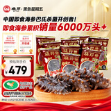 晓芹 大连冷冻即食海参500g 7-9只 辽刺参 海鲜水产