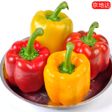 京地达山东彩椒红黄两色柿子椒 净重3斤 单果100g+起源头直发包邮