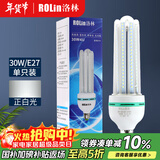 洛林（ROlin）led灯泡节能灯泡 e27大螺口家用商用大功率光源 30W白光