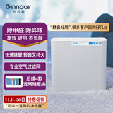 吉若奥Ginnoair KJ420F新装除甲醛空气净化器家用除甲醛除苯TVOC除雾霾除菌防过敏 KJ420净化器（配铜离子版除甲醛滤网）
